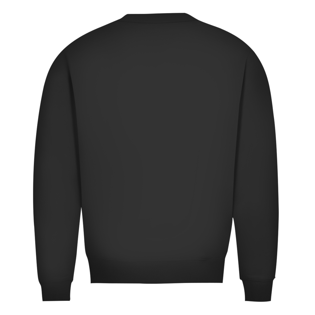 Premium Bio Sweatshirt Interstellar - M002 - Galaxy Defender